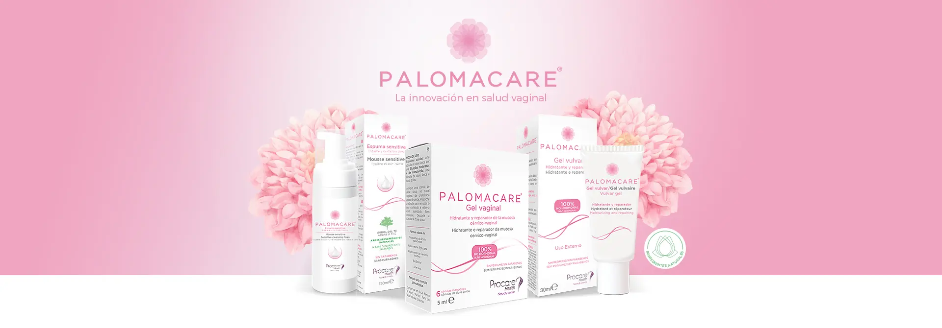 AnyConv.com__PALOMACARE-SLIDE2